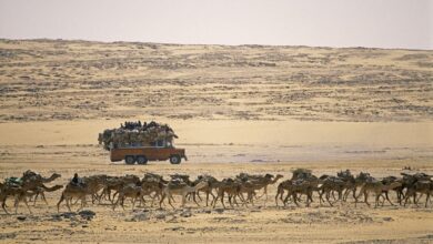 49 personas mueren de sed en el desierto por avería de un camión 49 personas mueren de sed en el desierto por avería de un camión